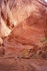 Large undercut cliff.