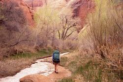 Hiking along the creek.