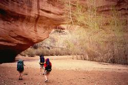 Coyote natural bridge