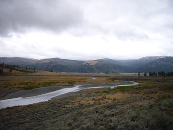 Fall06_images/Yellowstone06_01.jpg