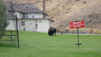 Fall06_images/Yellowstone06_02.jpg