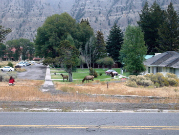 Fall06_images/Yellowstone06_04.jpg