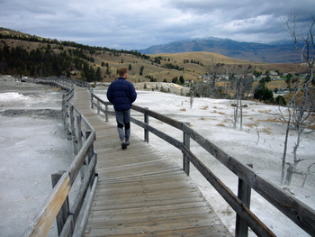 Fall06_images/Yellowstone06_05.jpg