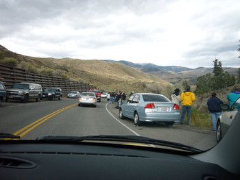 Fall06_images/Yellowstone06_10.jpg