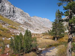 Sierra04_images/Sierra04_513_Stubblefield.jpg