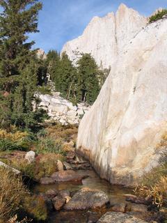 Sierra04_images/Sierra04_712_Creek_Hawksbeak.jpg