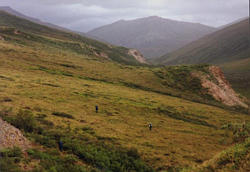 Hiking across a side hill.