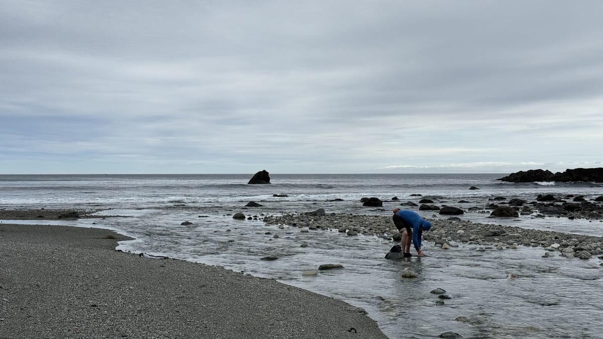 Day 3: Solander Island