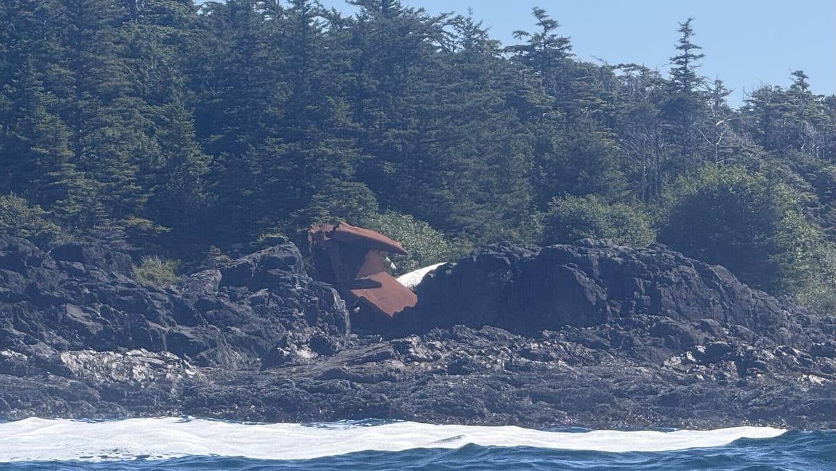Day 8: Whales and aliens