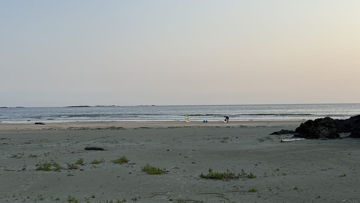 Day 14: Clayocot Sound