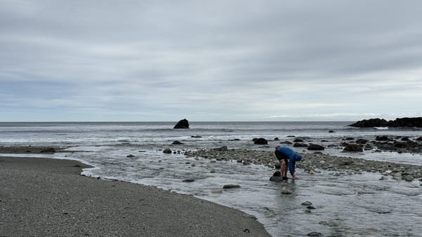 Day 3: Solander Island