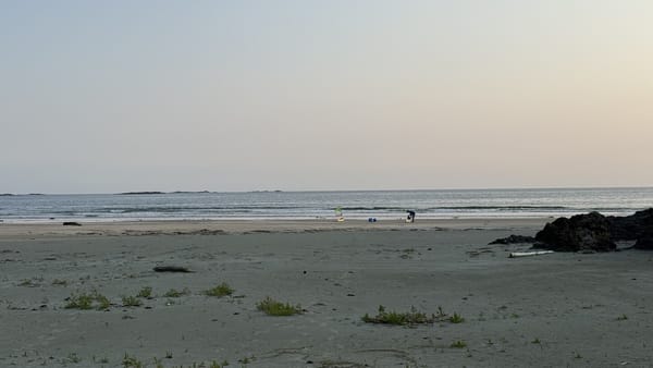 Day 14: Clayocot Sound